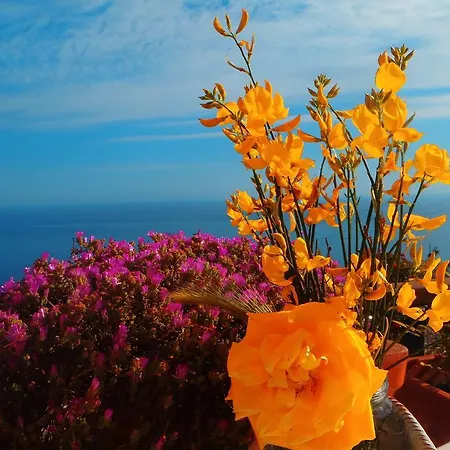 La Serra Sul Mare Alojamento de Acomodação e Pequeno-almoço 4*