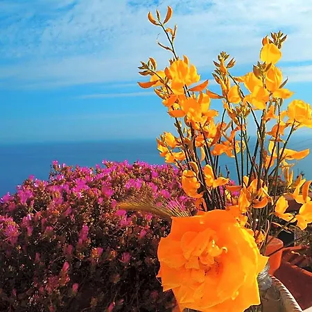 Bed & Breakfast La Serra Sul Mare